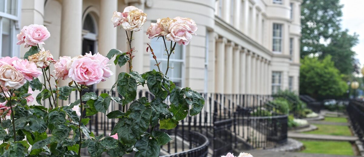 Property Market Update June 2023