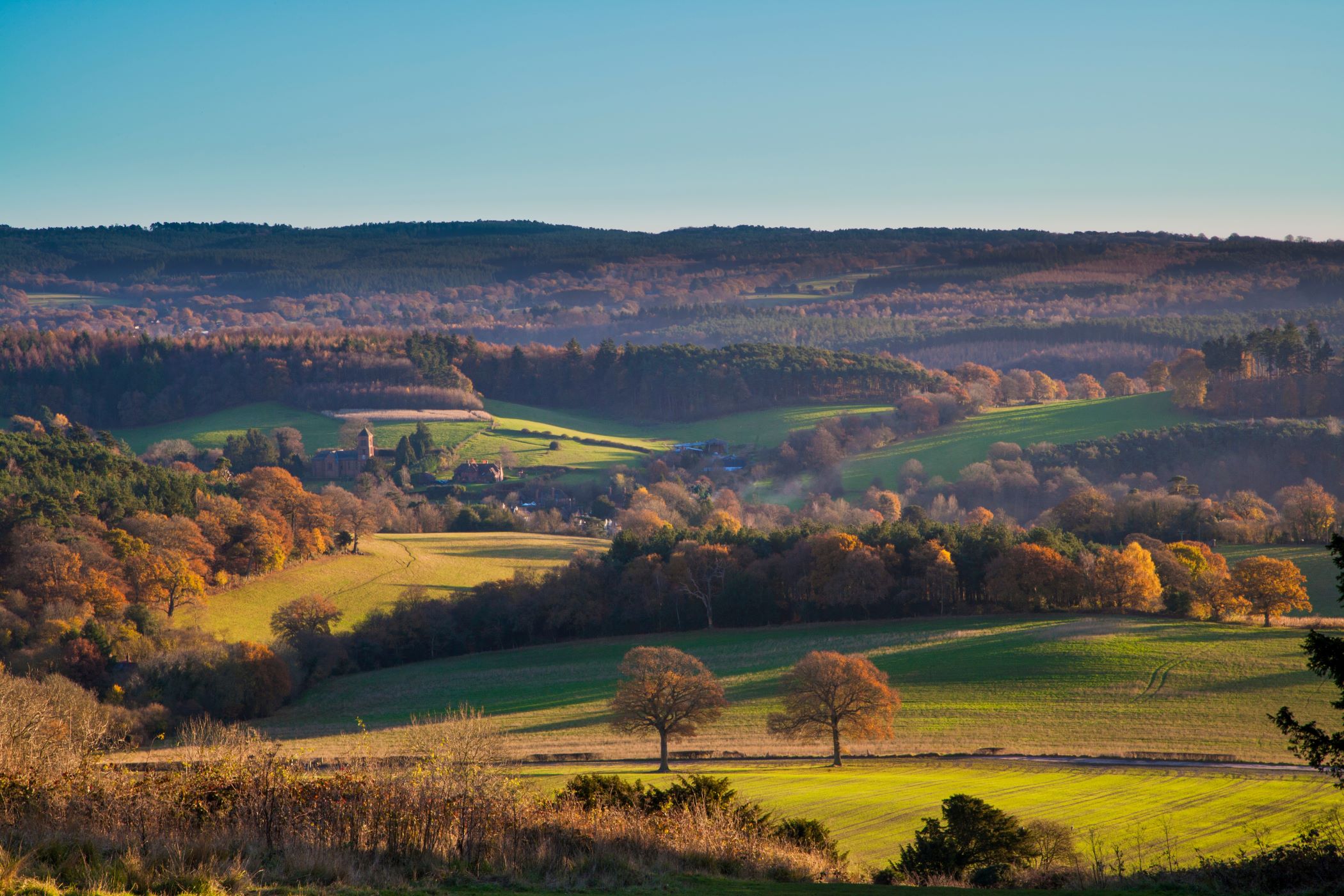 surrey countryside landscape view