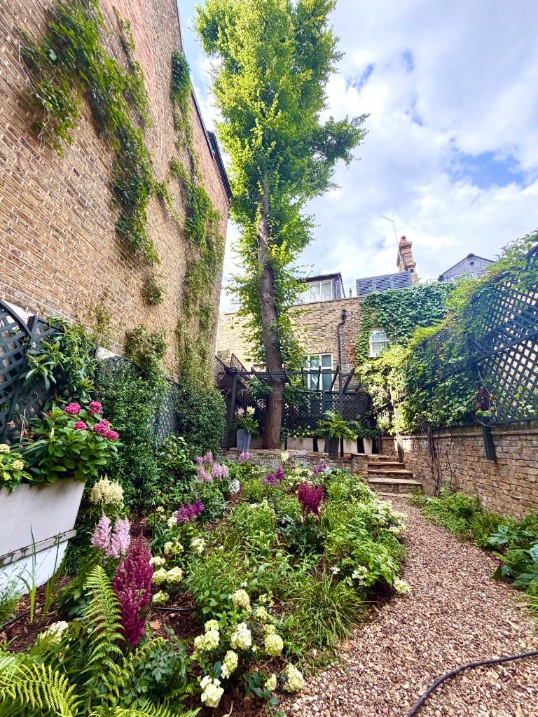 Garden at 30 Hans Place after landscaping