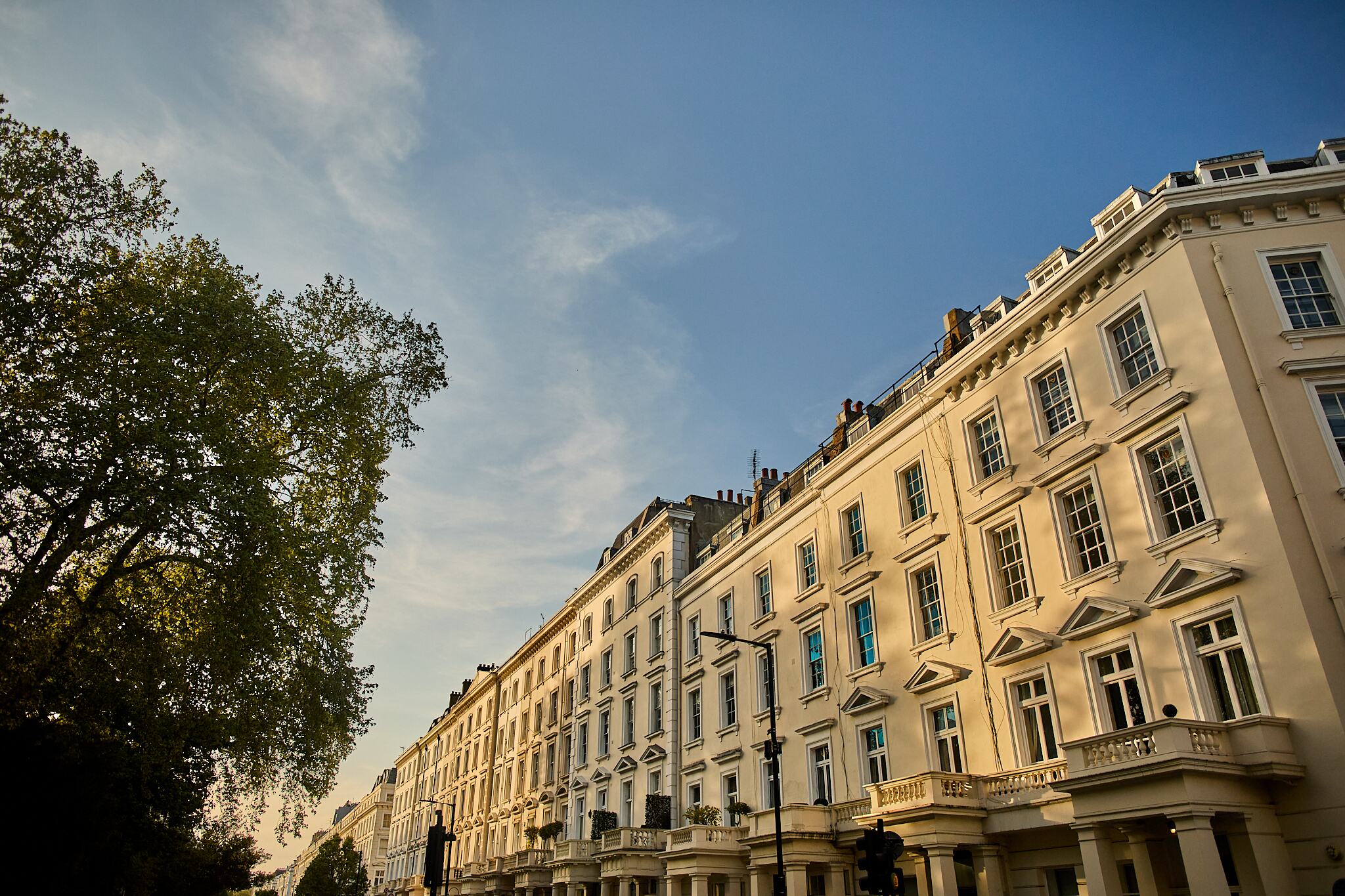 Cream terraced townhouses on a tree-lined London street